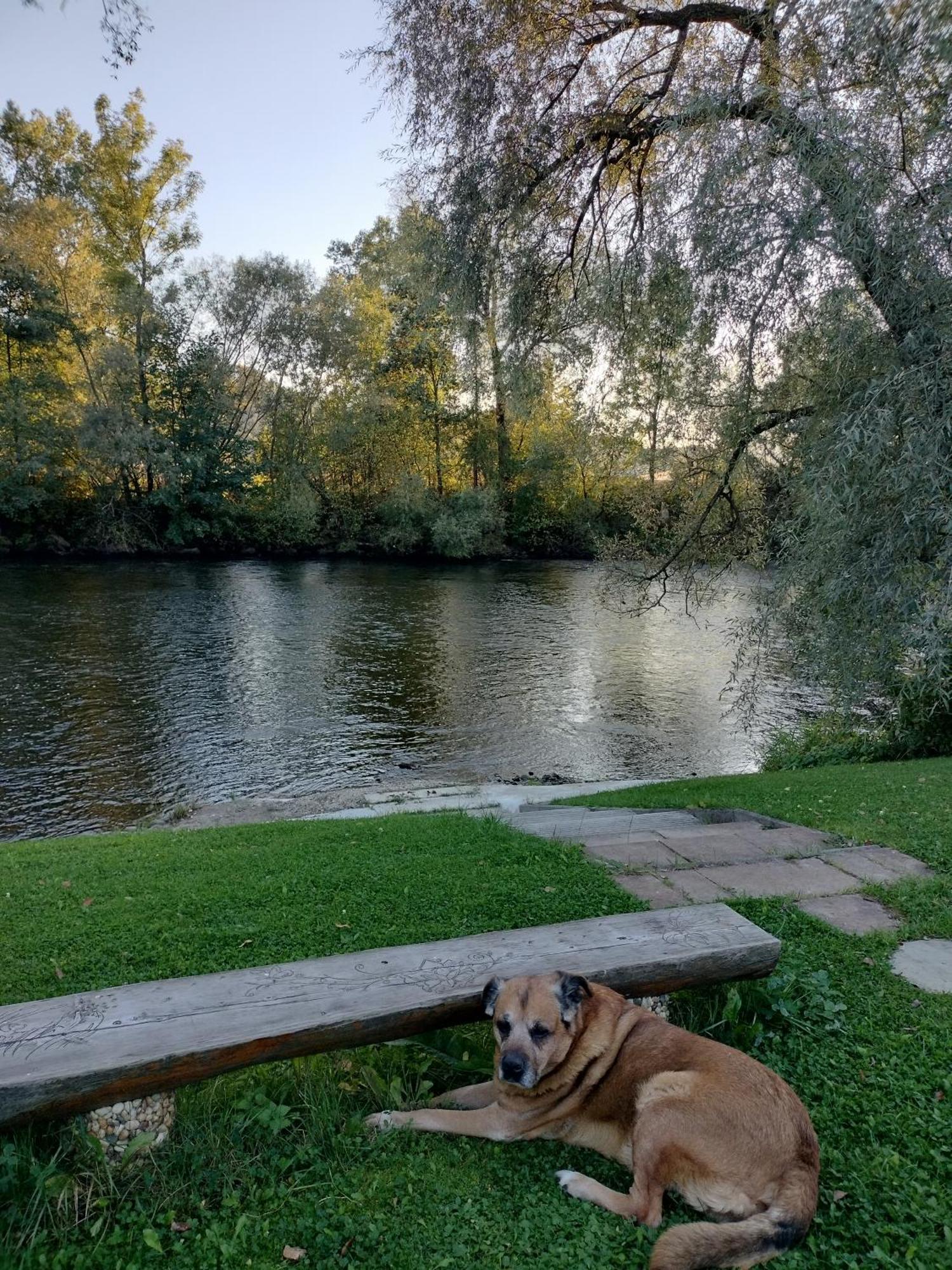 Villa Garden Bešeňová 외부 사진